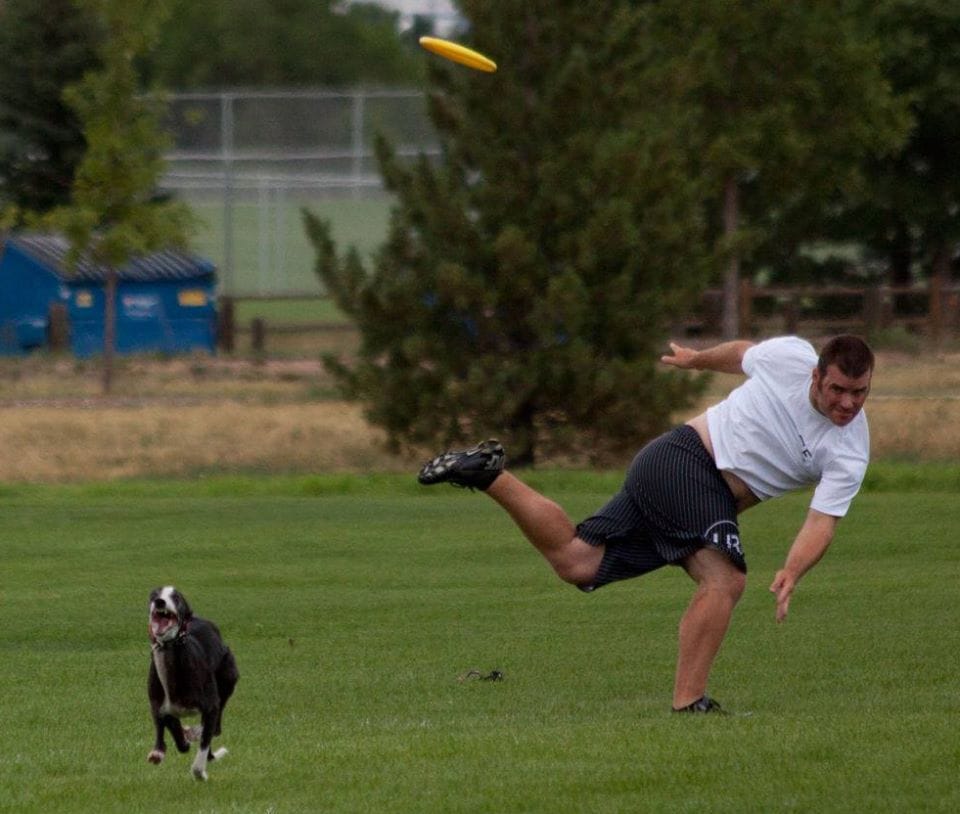 whippet frisbee